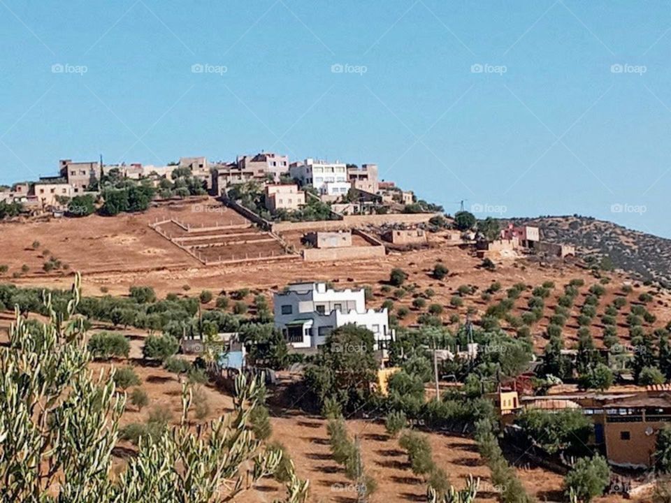 Population between the nature