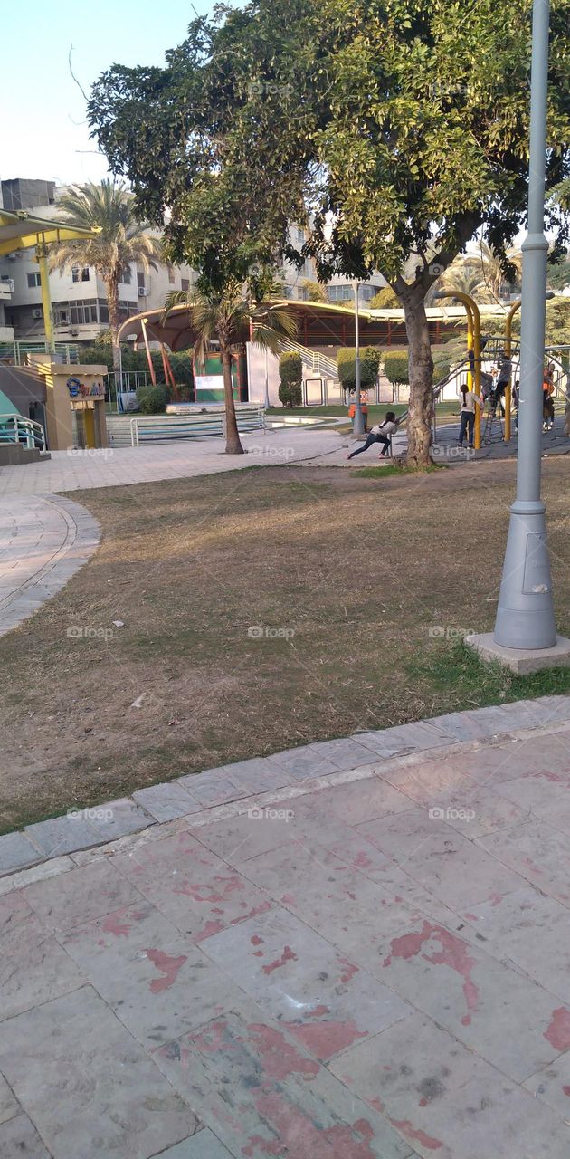 صور منطقة شجرية خيالية تستخدم للتصوير كخلفيات للافراح و مزار راح لمحبي التامل و مشاهدة الجمال الشجري والطبيعة
  Pictures of a fictional tree area used for photography as wedding backgrounds and a shrine for lovers of contemplation and watching tree b