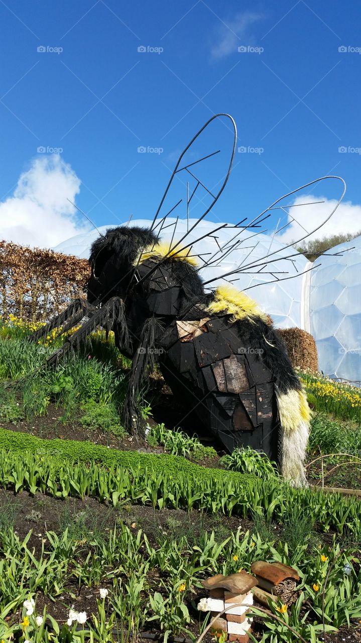 Giant Bee of Eden Project
