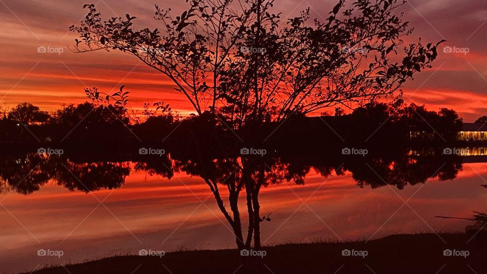 Sunset Red Sky At Night Sailors Delight. Reflections of Sky to Mirrored Images on Lake Waters. Who says there is no Double Exposures. 