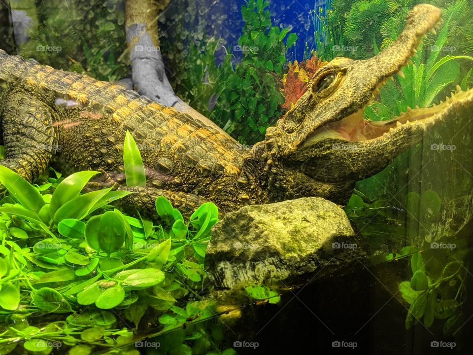 waking up from a nap