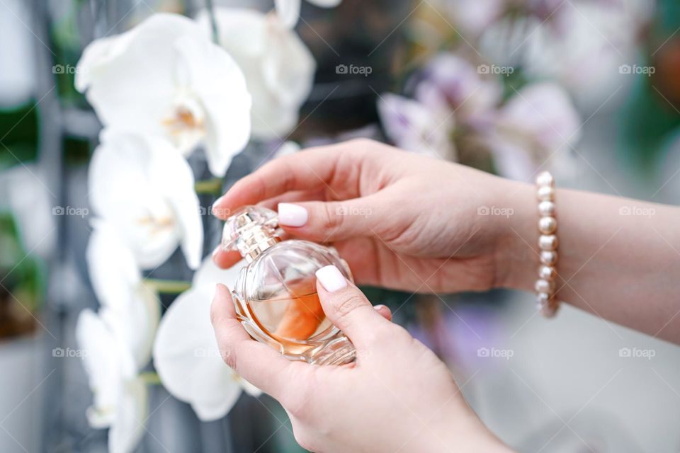 Woman hands holding a bottle of perfume. Feminine and elegance