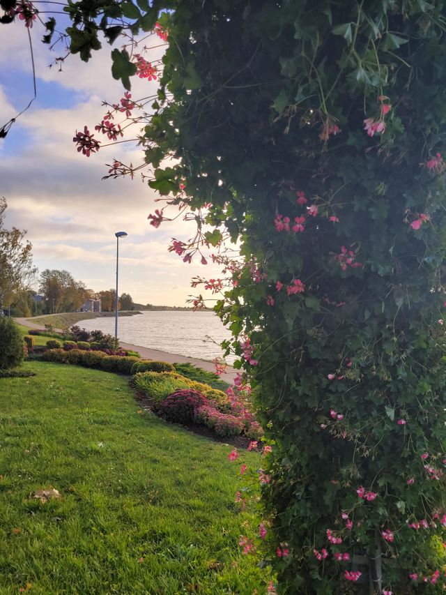nature