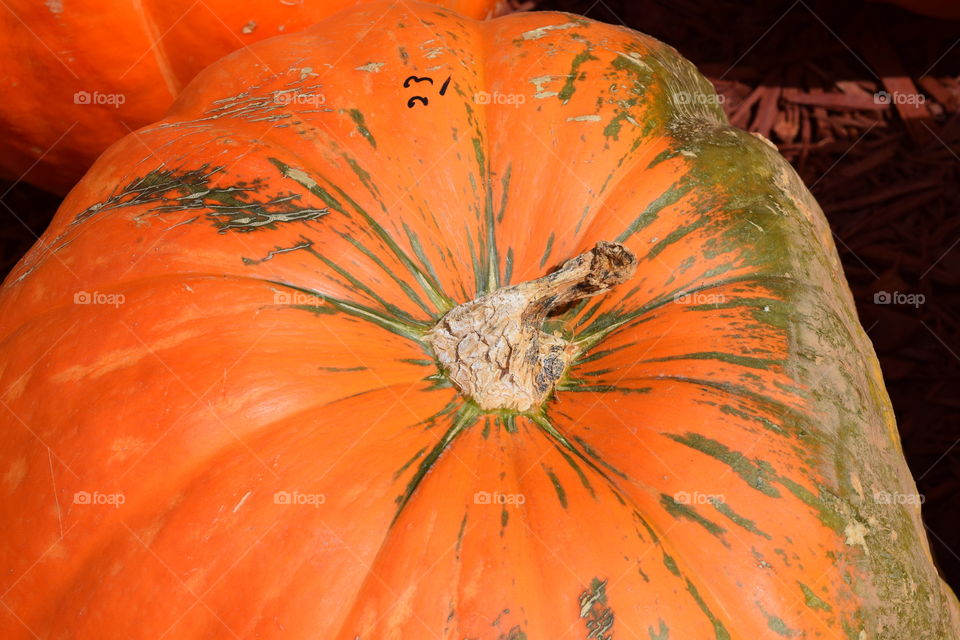 High angle view of orange pumpkin