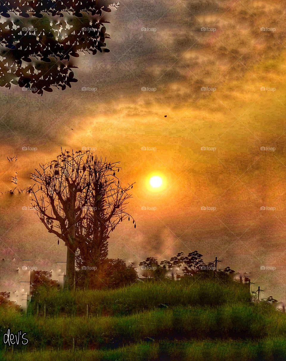 When the sun goes down, a shadow you can enjoy in countryside 🌳🌅