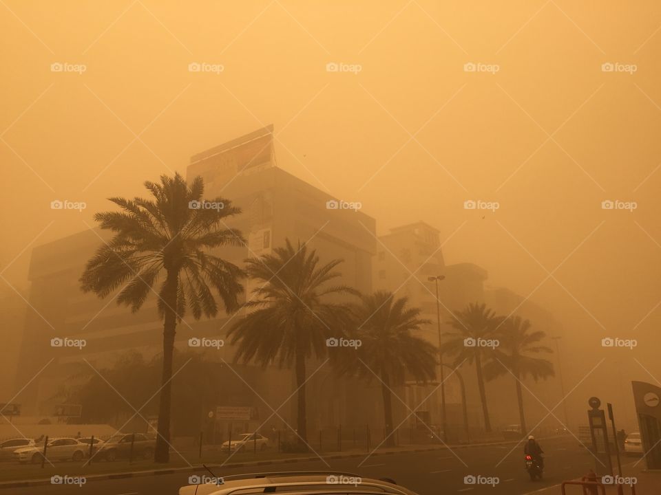 Sandstorm 