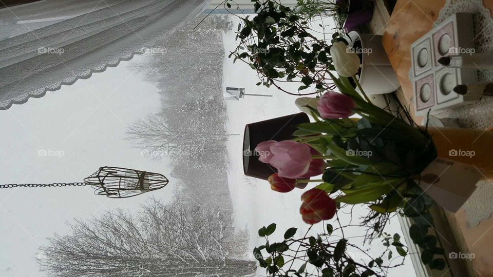 snowy day from inside seen through the window.