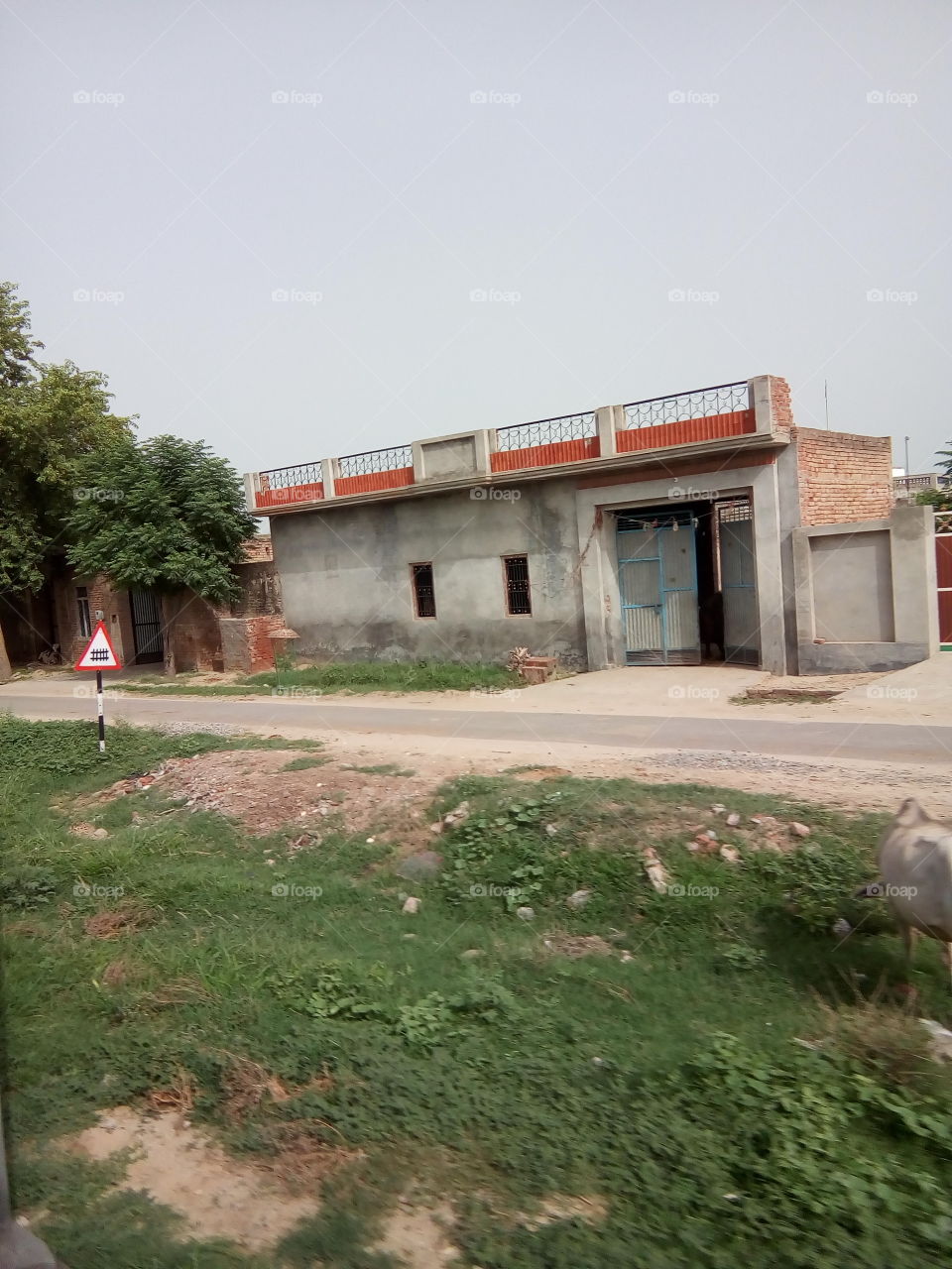 natural beautiful seen of a village in India