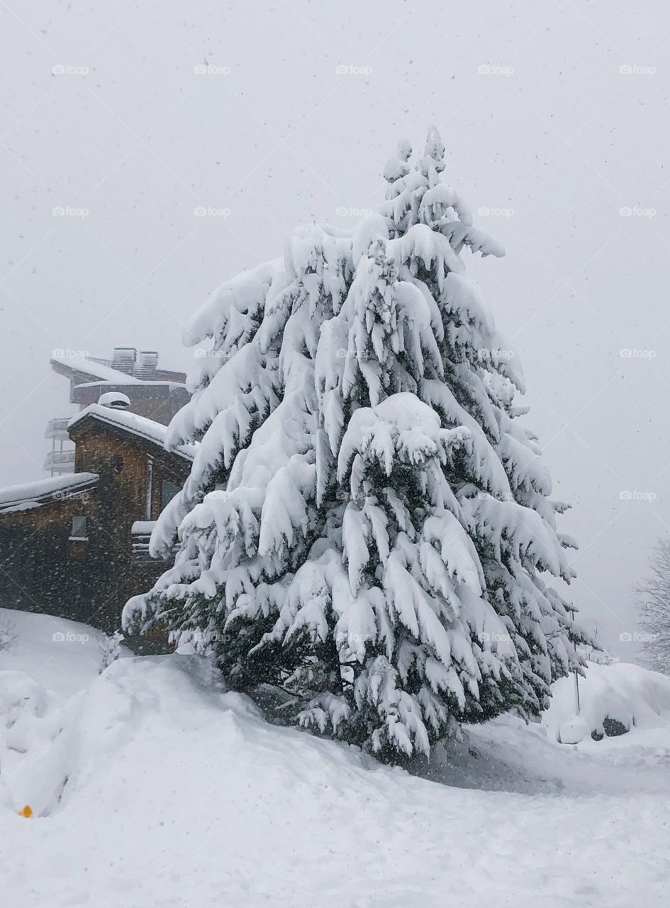 Massive snowfall - France