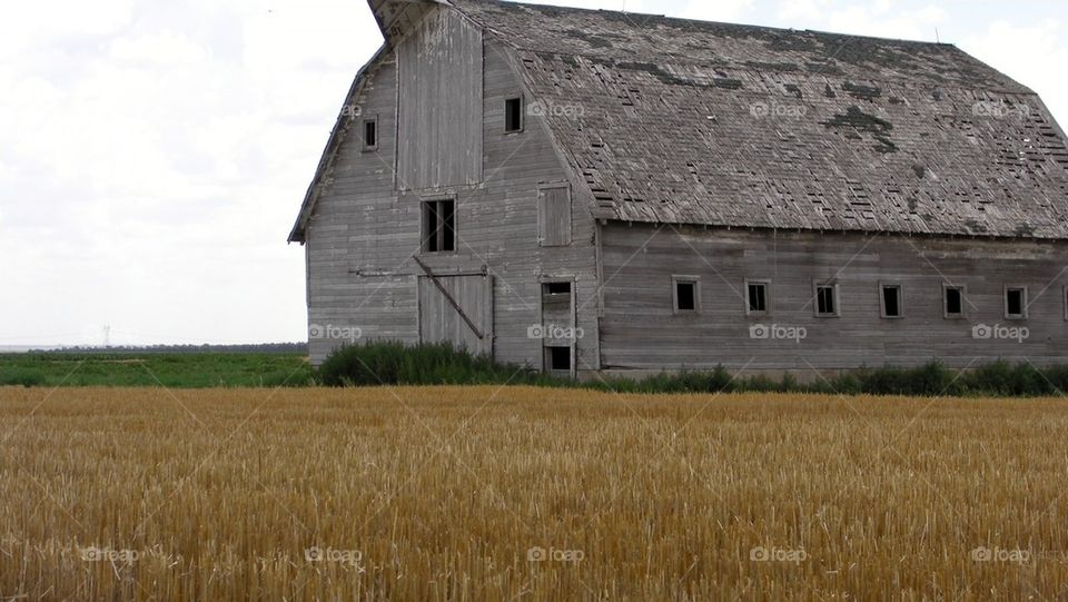 Barn