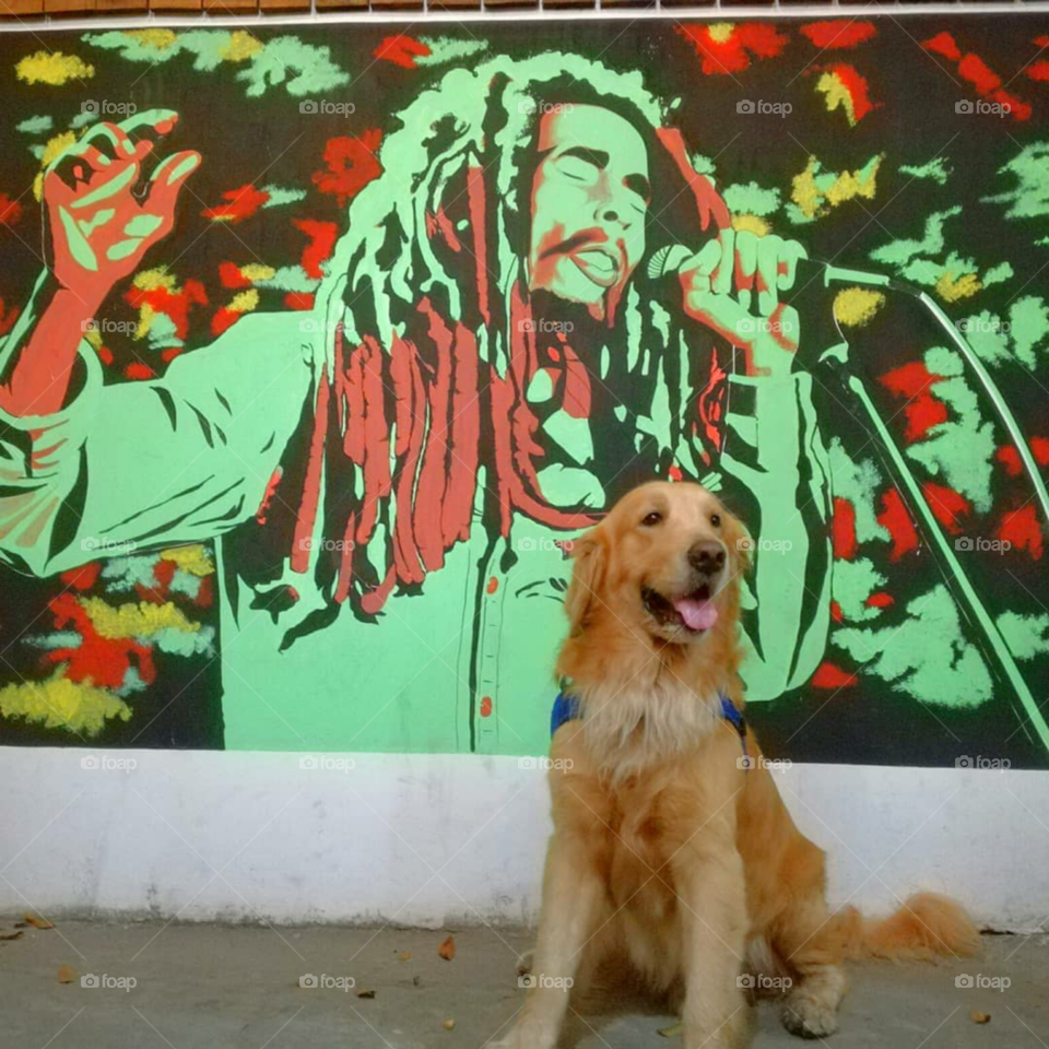 Rasta Doggo