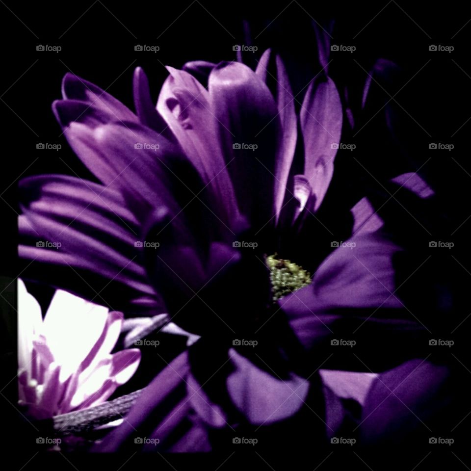 for momma. experiments with lighting