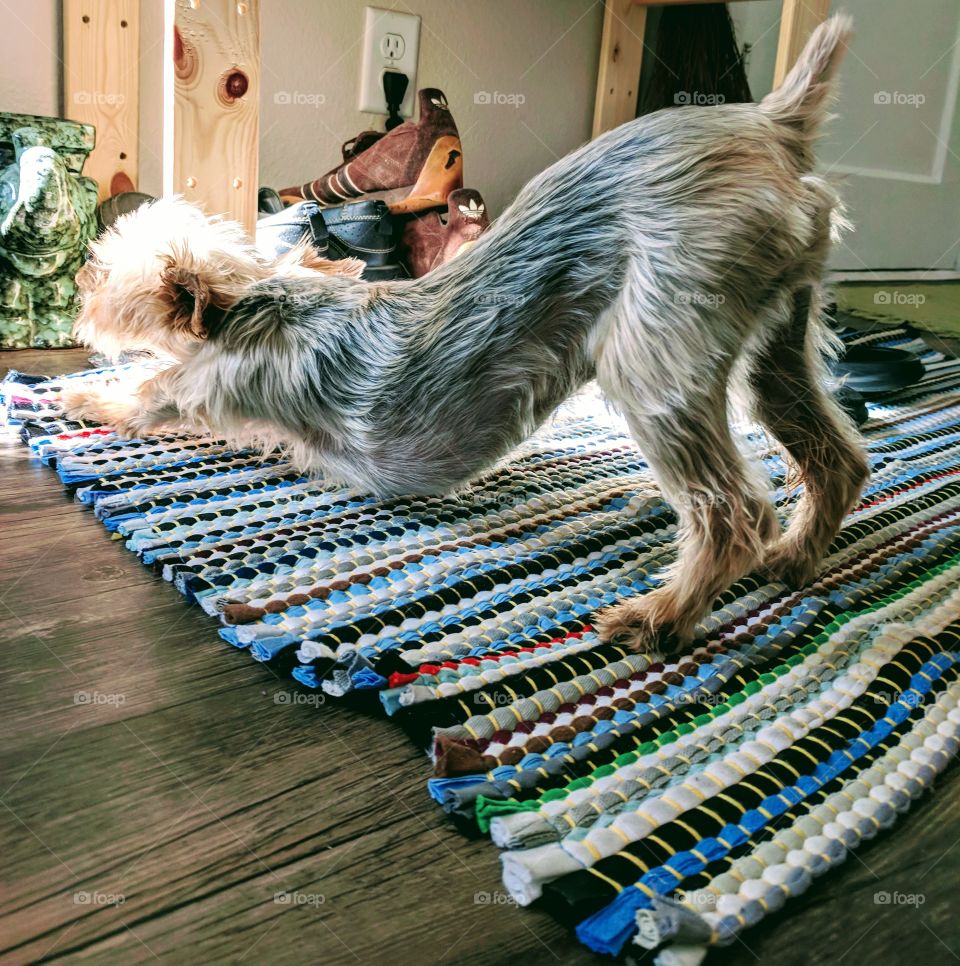Down Dog yoga time