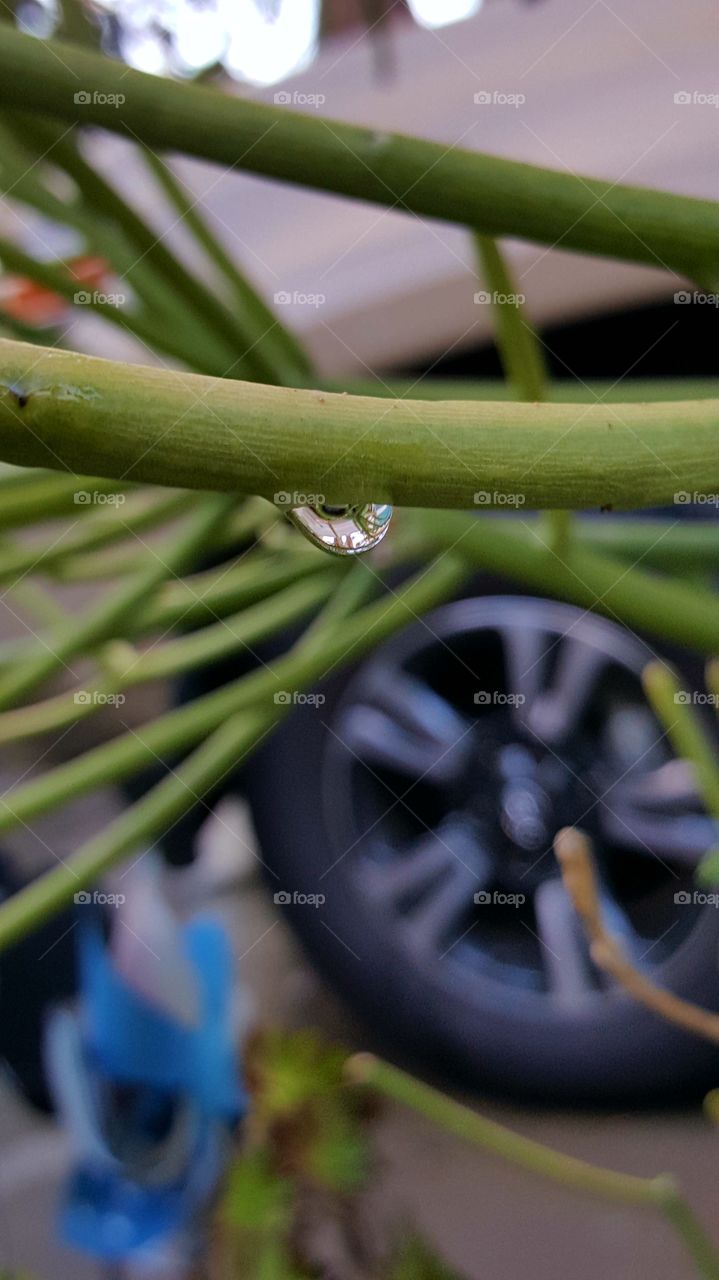 1 raindrop.