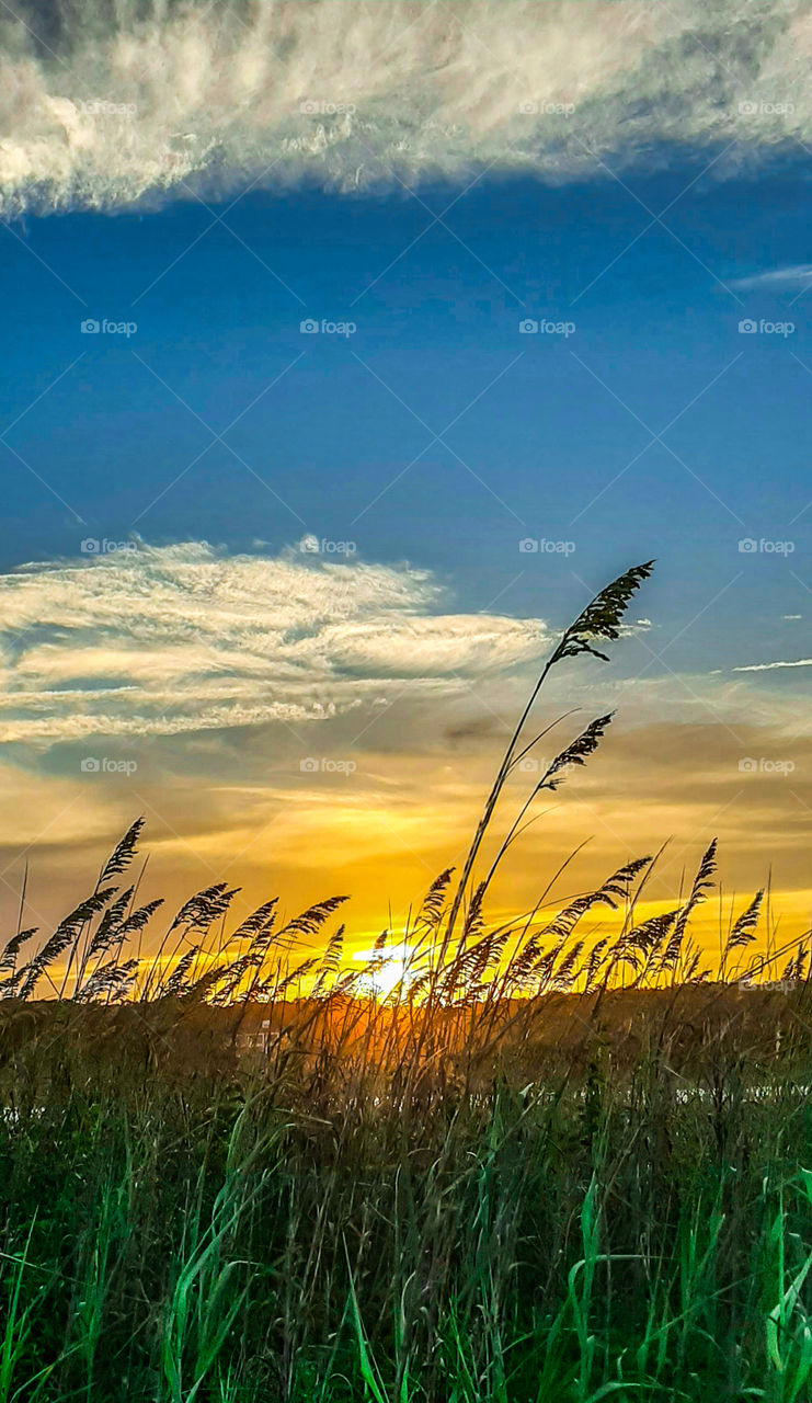 sun setting beyond the sea oats beautiful cloud coverage
