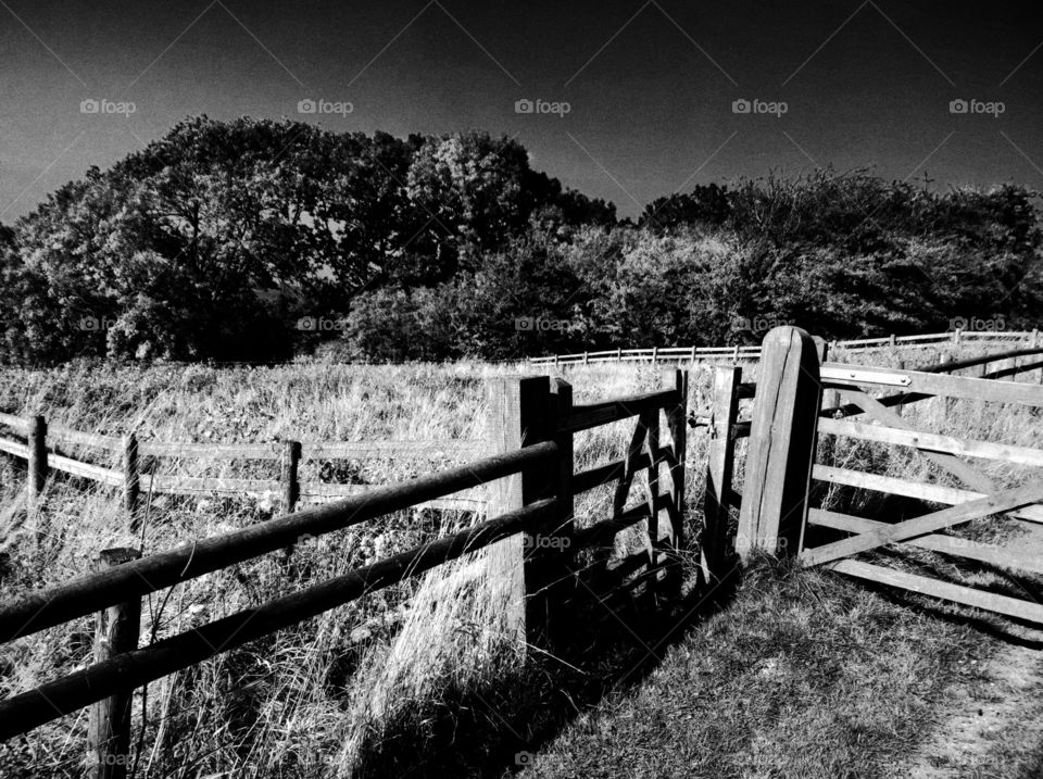 Gate. Countryside 