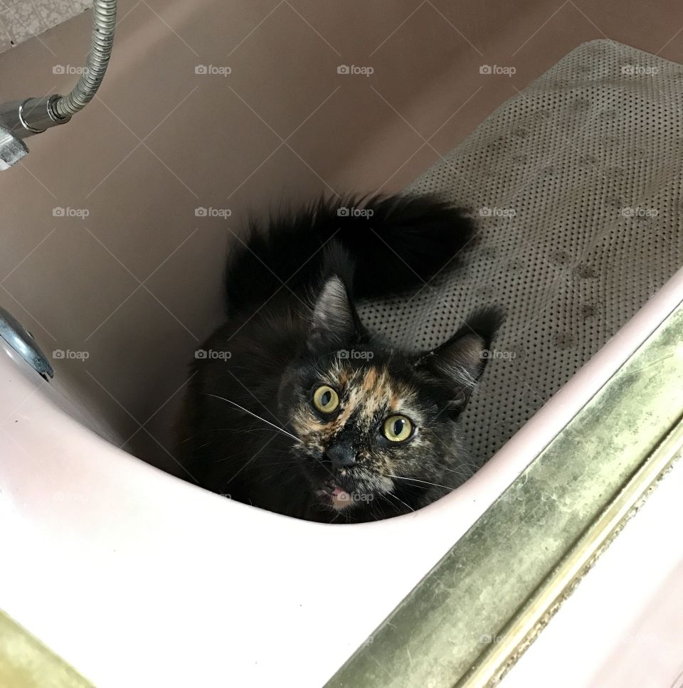 A little closer......