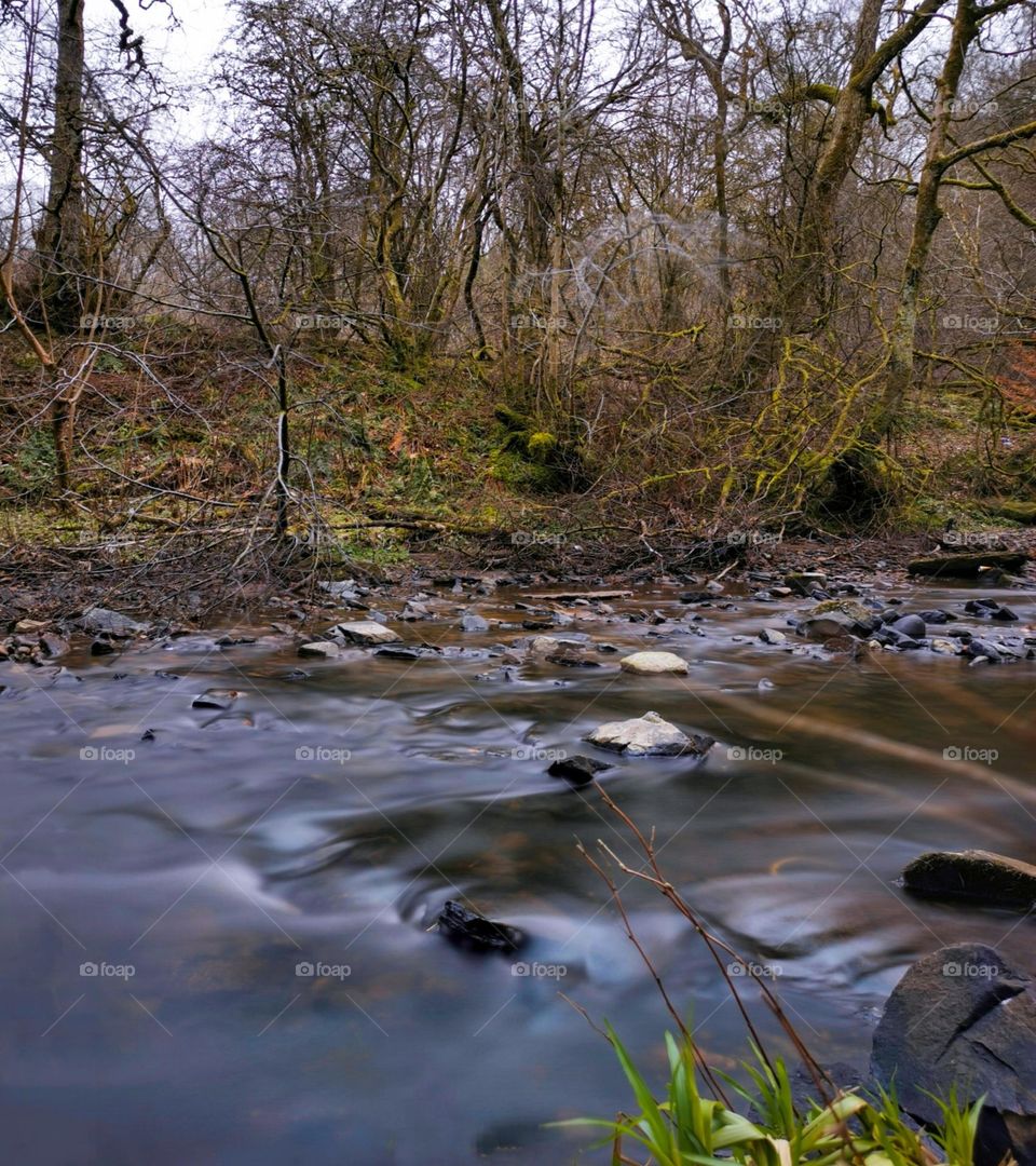 Glen stream