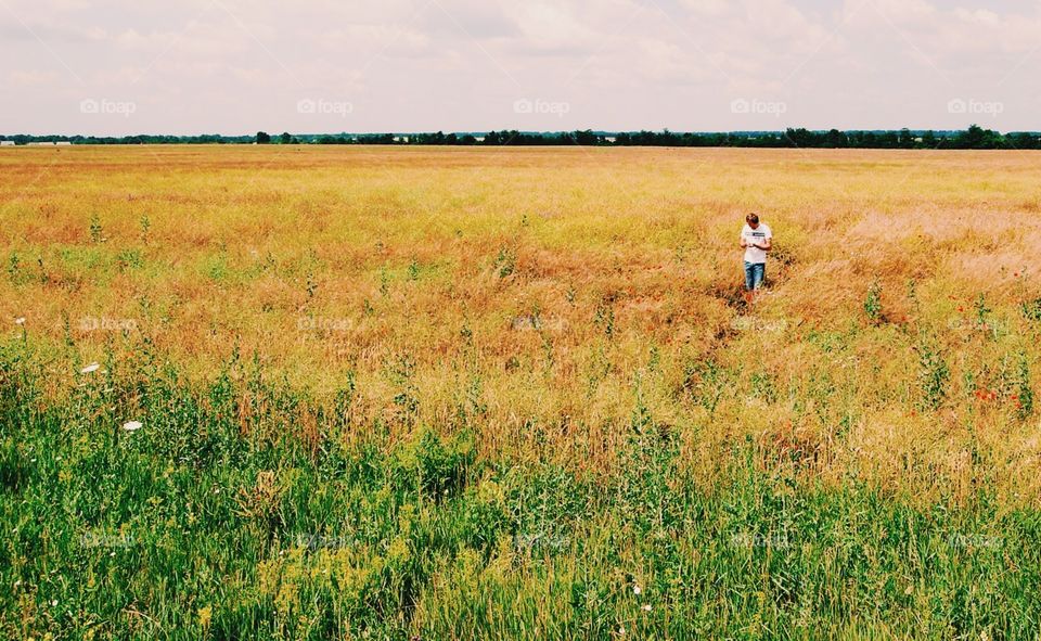 Field of gold 