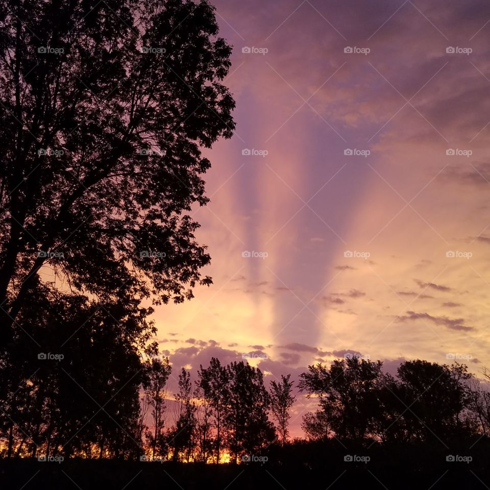 bringing purpose to our lives