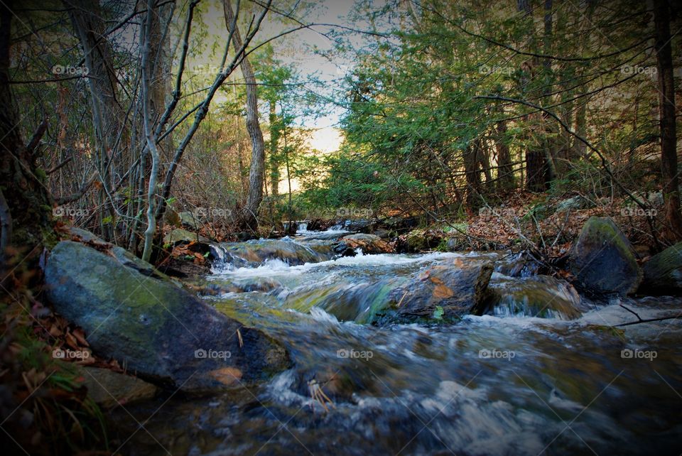 Mountain stream 