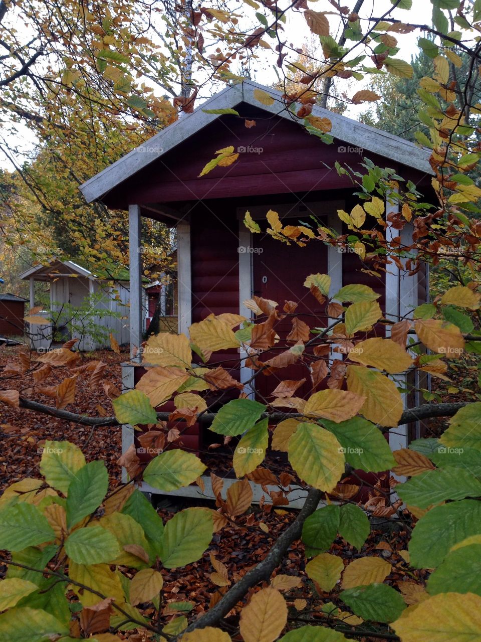 Beachhut in Autumn