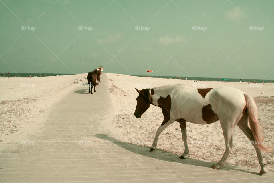 Take the Nostalgic Way Home ( Series )