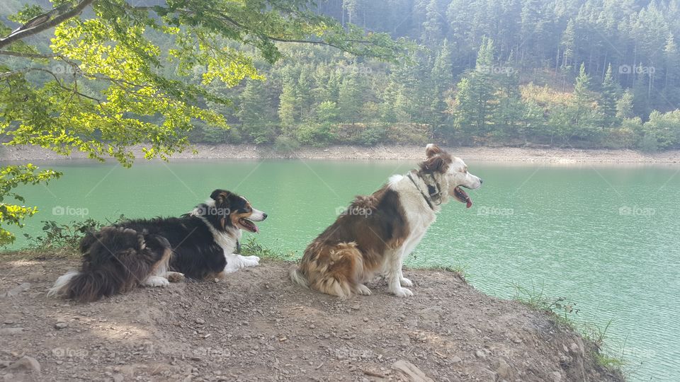 Mis modelos caninos: Argi y Tete. Pantano de Brinkola.