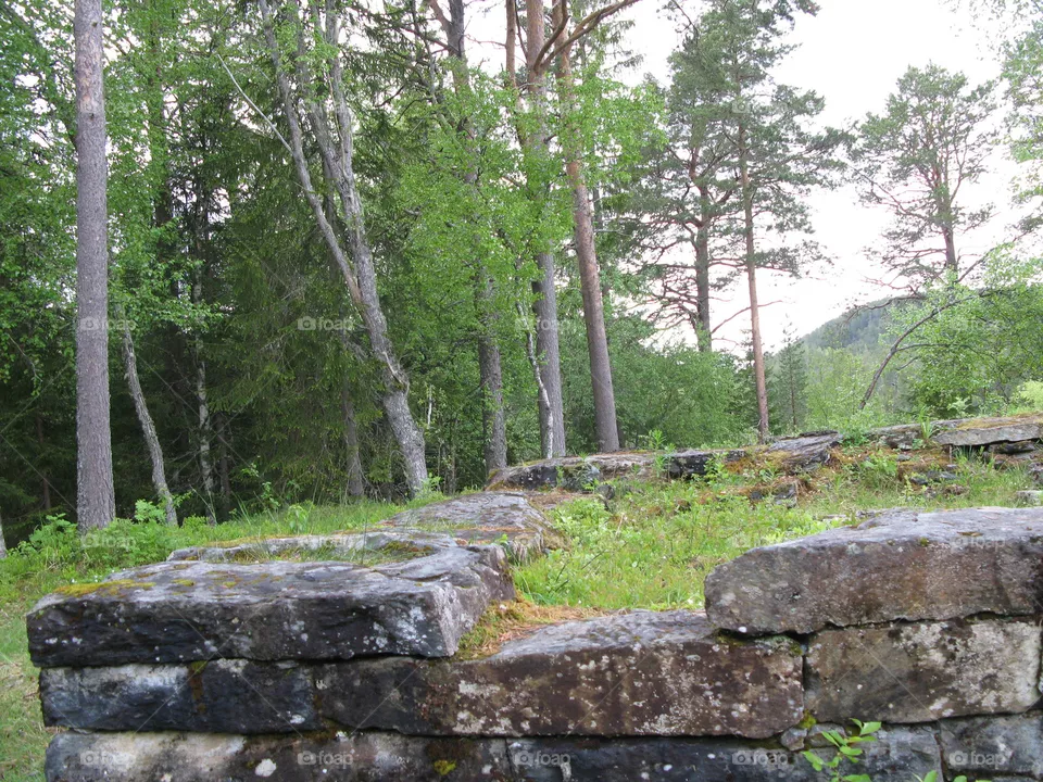 Nature