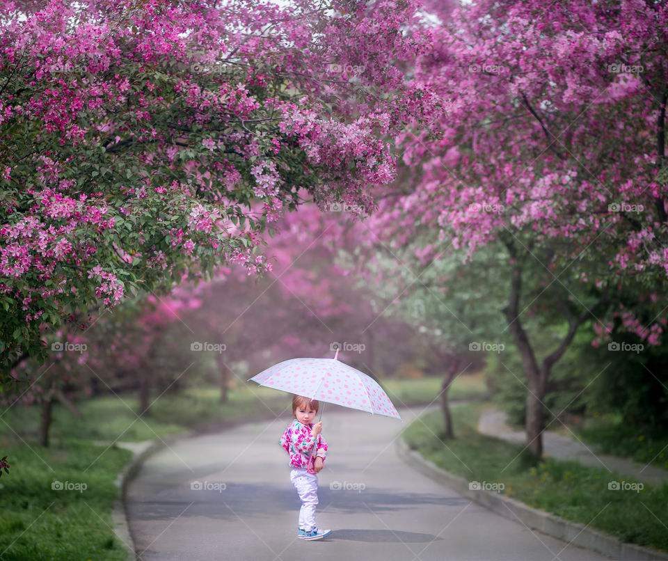 Little girl in a blossom park