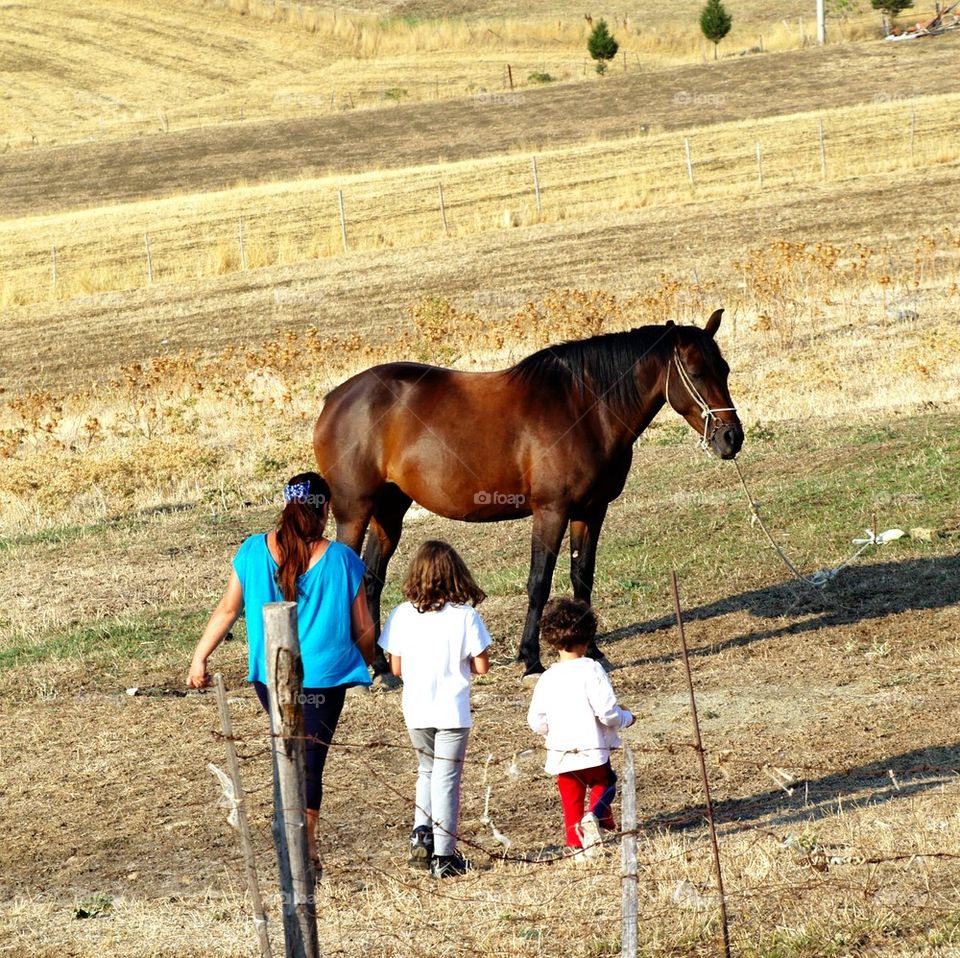 nature love animals horse by Alepenny