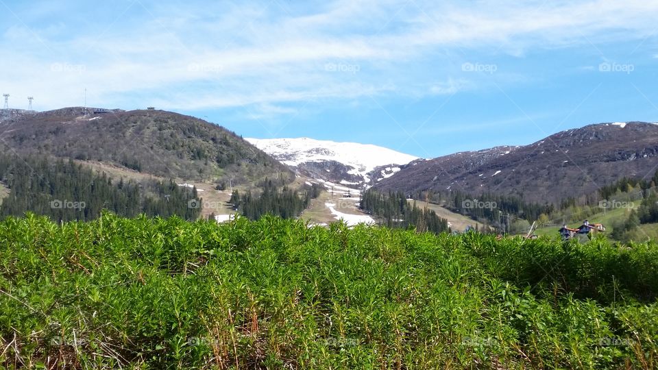 Contrasts, winter vs. spring!