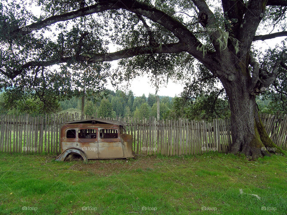 Broken down into car sits by a fense and an oak tree