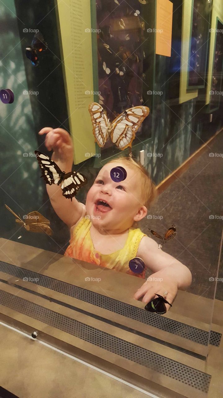 Cute little girl looking at butterflies in museum