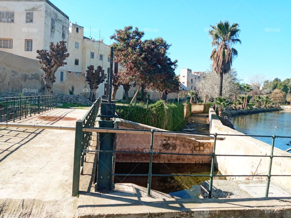 Population between the nature