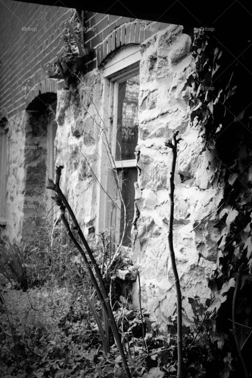 basement door. life in black and white 