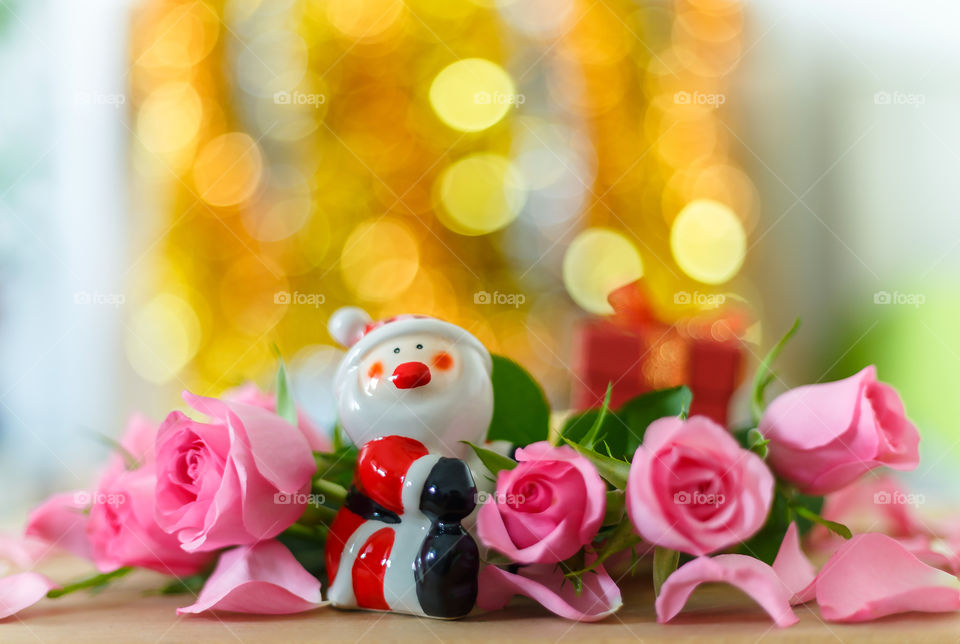 Santa and roses