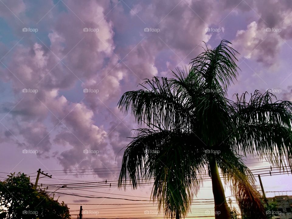 🌅Desperte, #Jundiaí. 
Que a jornada diária possa valer a pena!
🍃
#sol #sun #sky #céu #photo #nature #morning #alvorada #natureza #horizonte #fotografia #pictureoftheday #paisagem #inspiração #amanhecer #mobgraphy #mobgrafia #AmoJundiaí