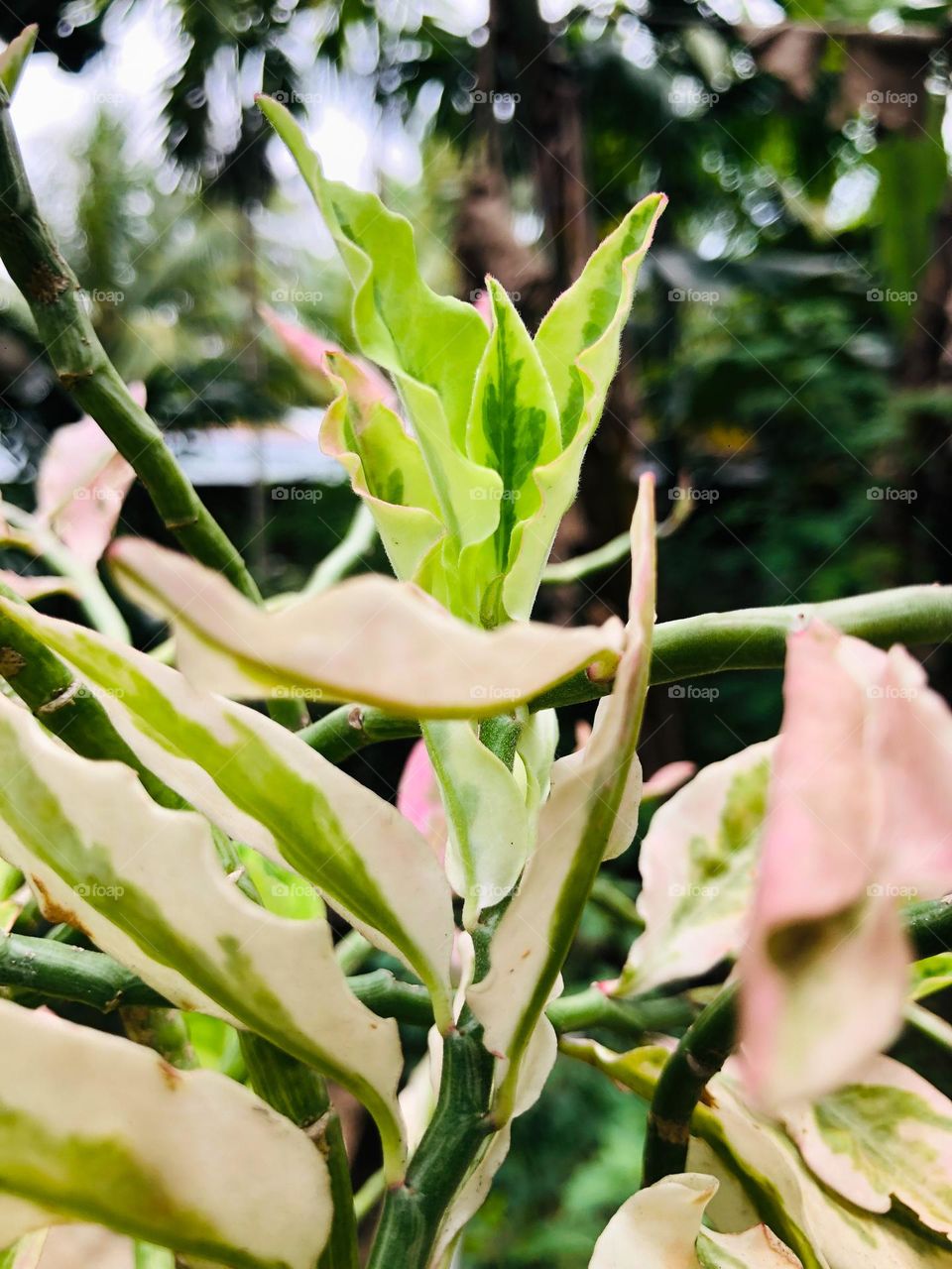 Colors are everywhere