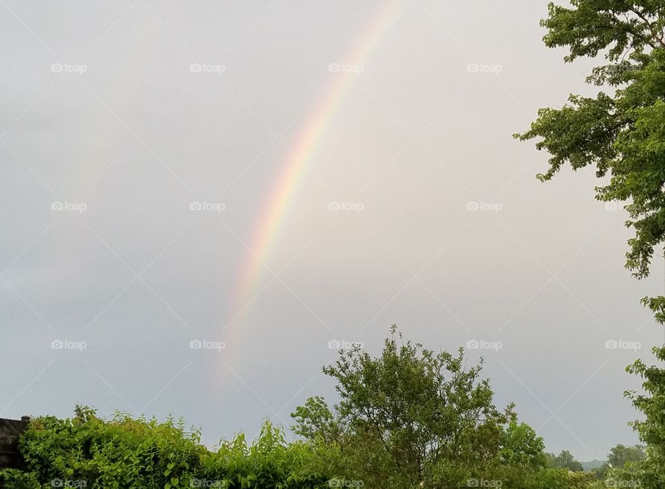 rainbow in the backyard