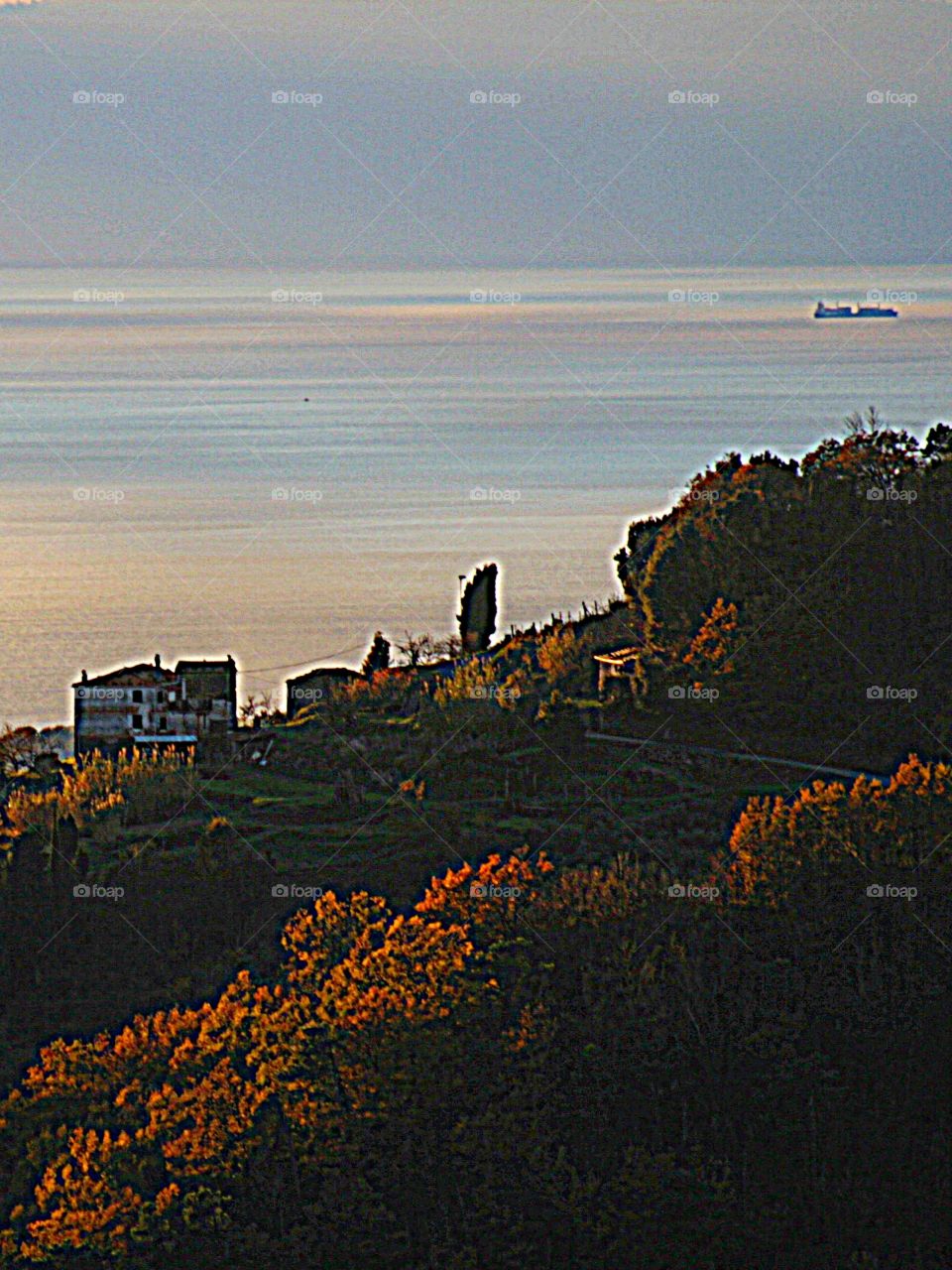 Tigullio Gulf from Velva (ge) Cargo ship