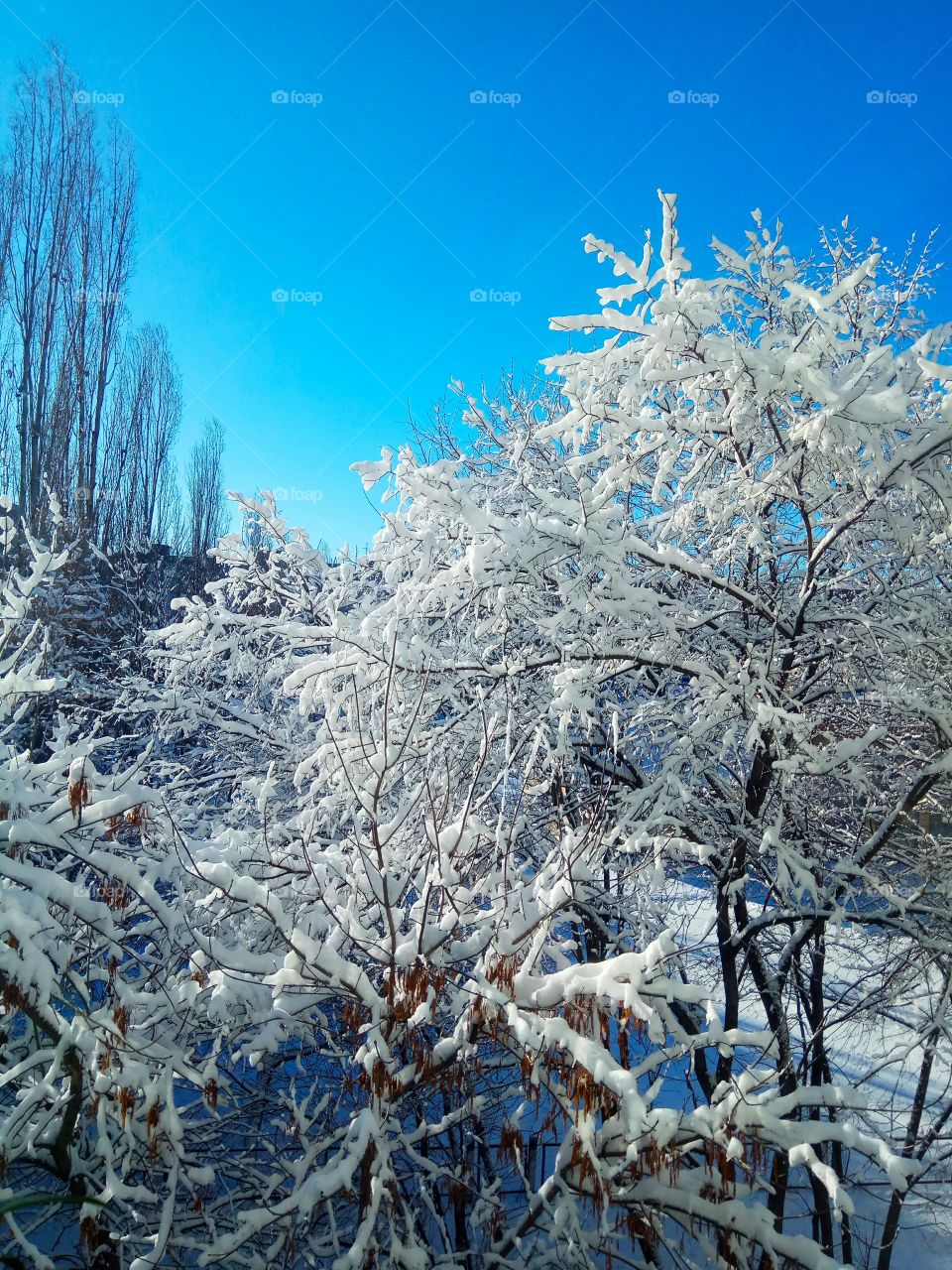 the view from the window. Russian winter.