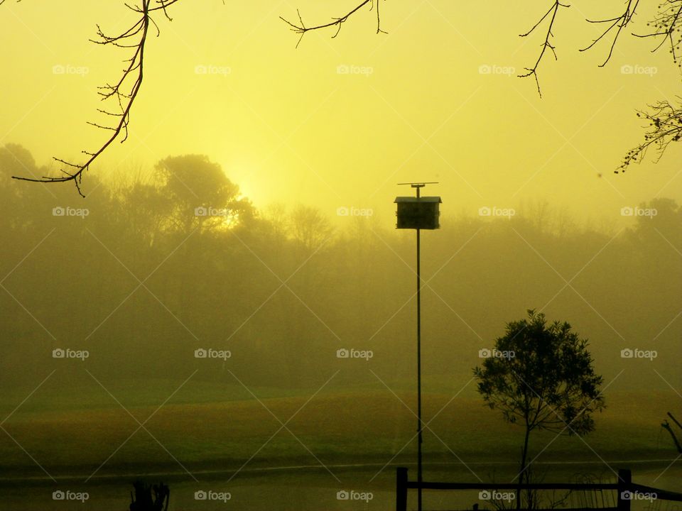 Foggy Morning 