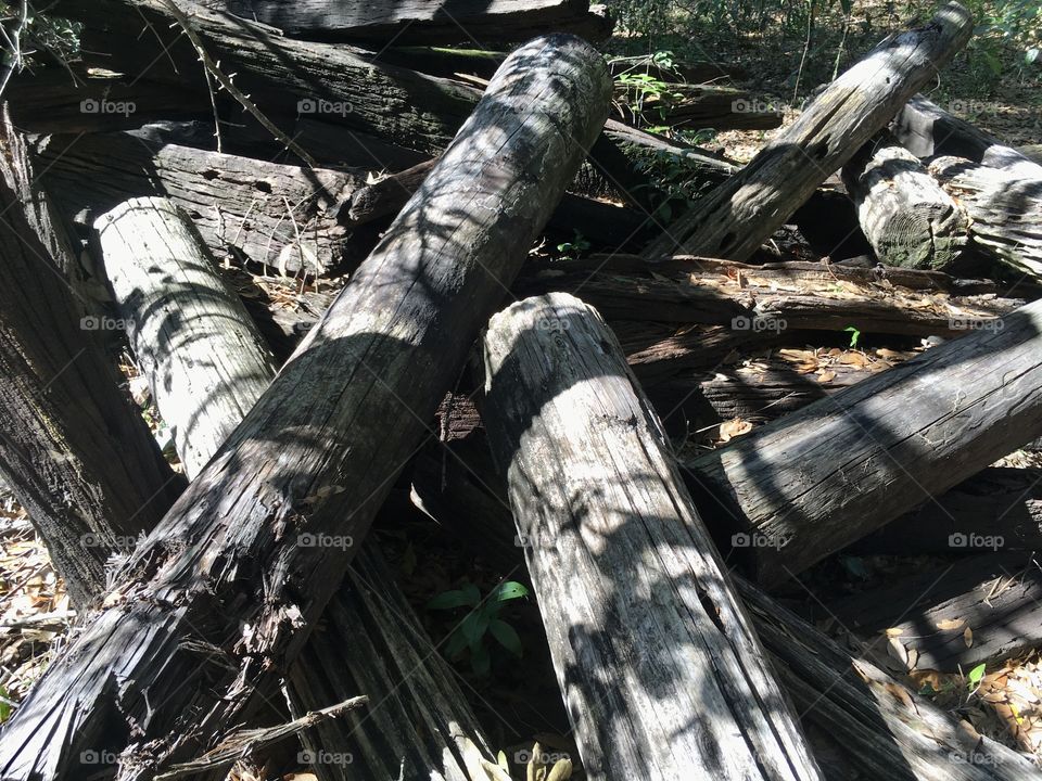 Wood, Tree Log, Tree, Wooden, Log