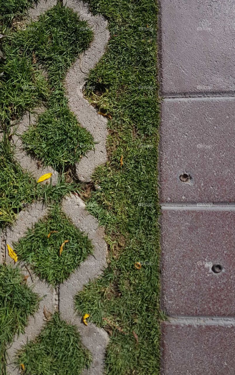 Texture of concrete cells with grass inside and paving stones