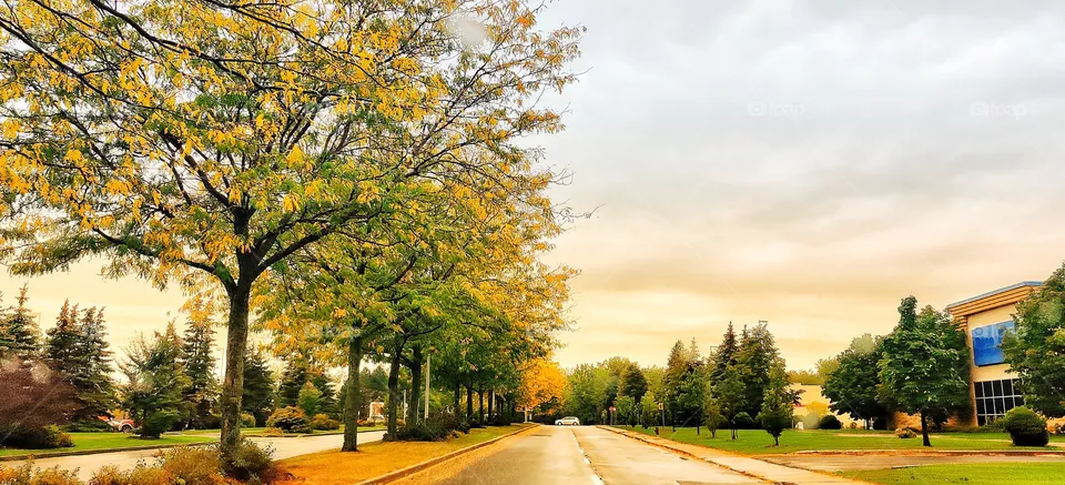 Autumn mood