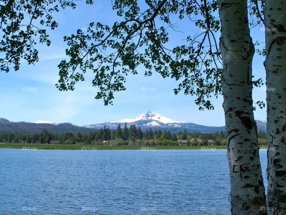 Mt Jefferson. Mountain with lake and trees in foreground 