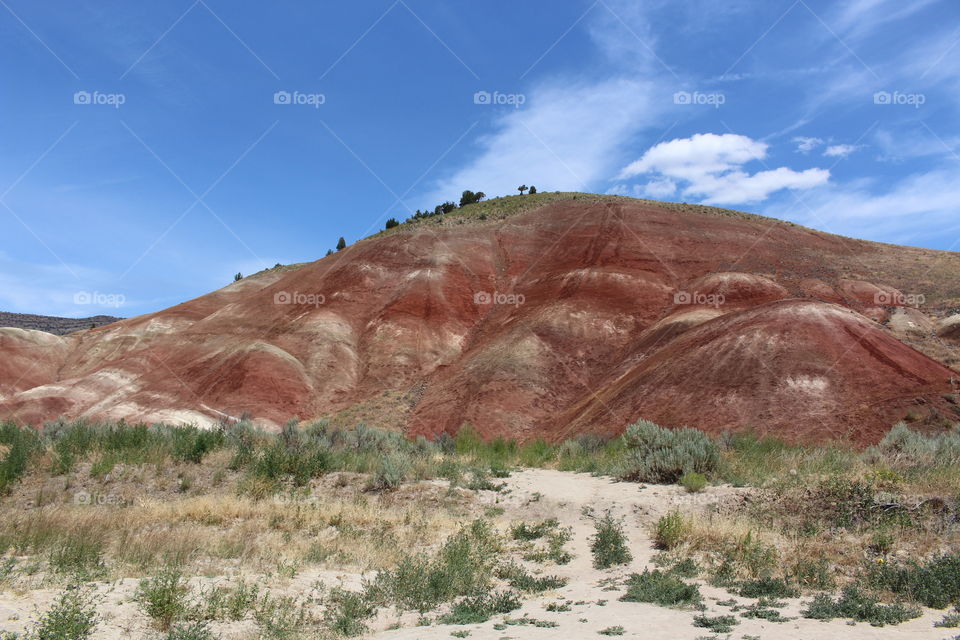 painted hills