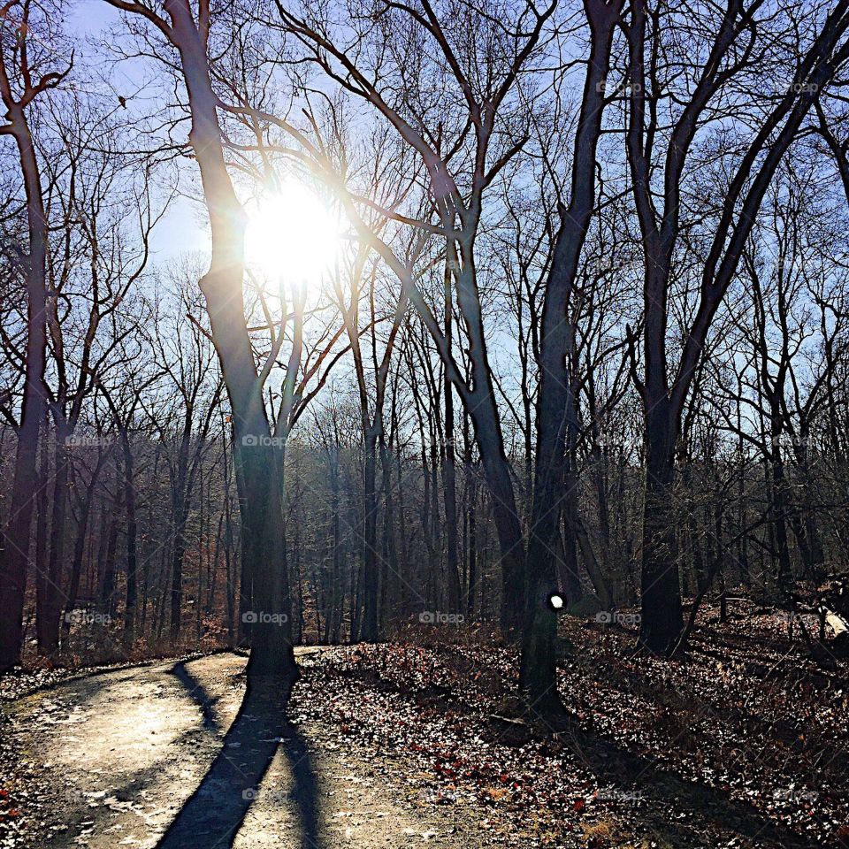 There's an old Tibetan proverb that says, "Everything rests at the tip of motivation."

Happy Hanukkah and Merry Christmas. May your day be filled with compassion and kindness.

