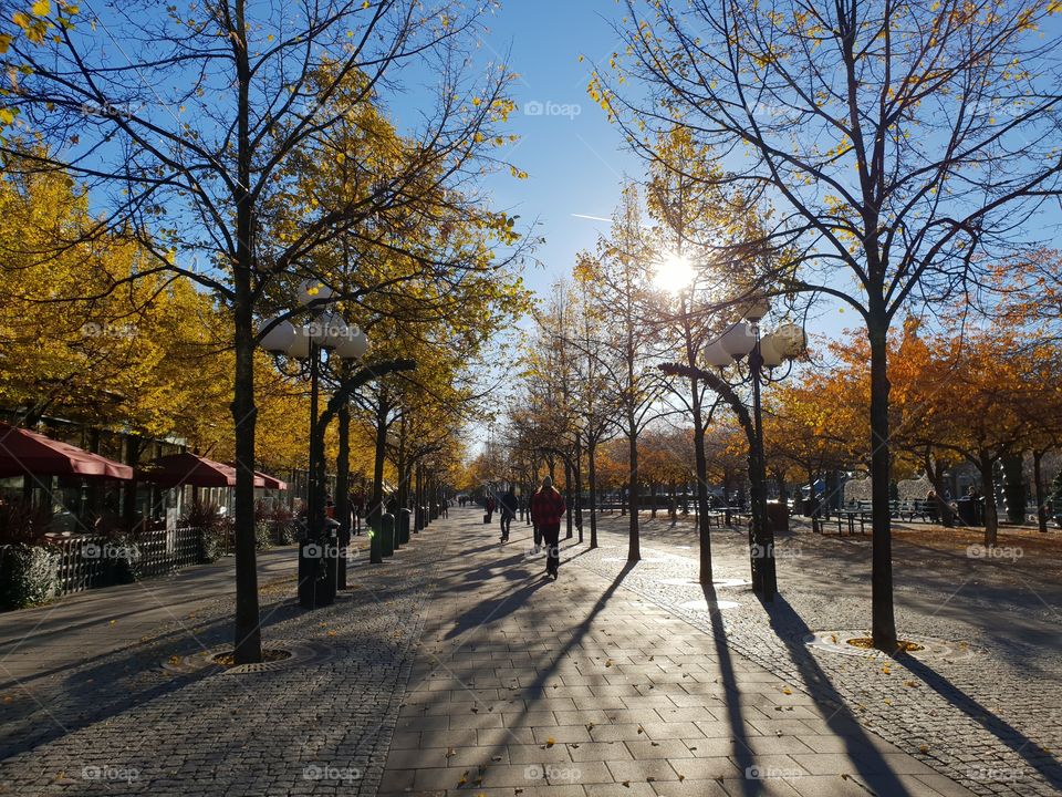 Autumn cityscape